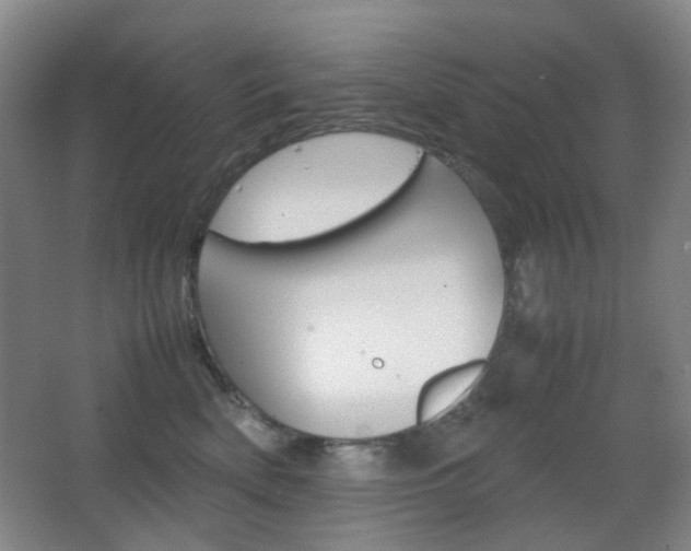 X0000064040522200601270935
