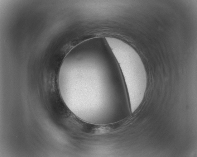 X0000064040525200601270935