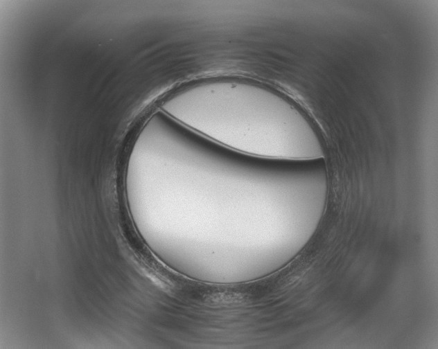 X0000064040535200601270935