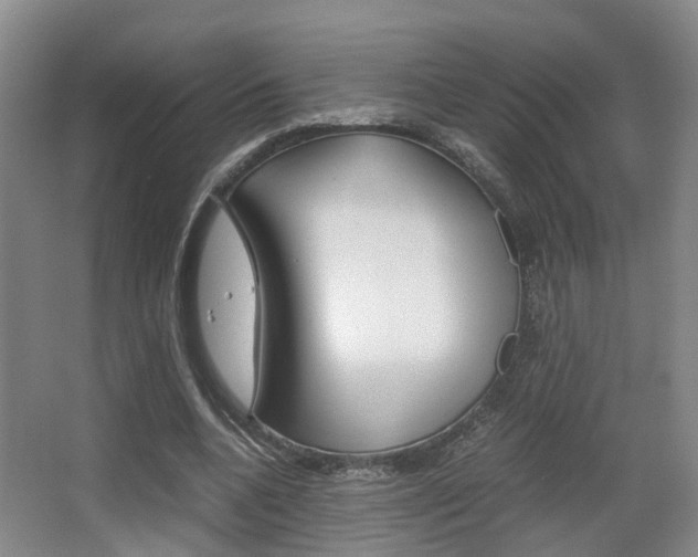 X0000064040536200601270935