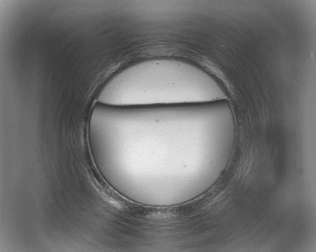 X0000064040537200601270935