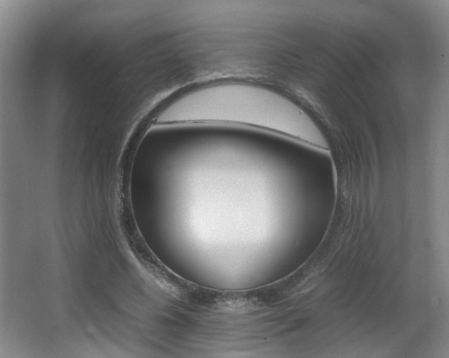 X0000064040540200601270935