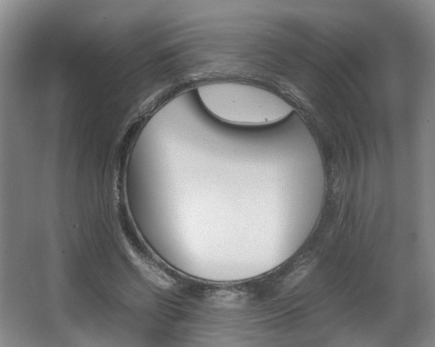X0000064040542200601270935