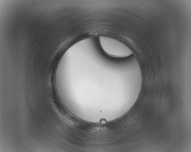 X0000064040543200601270935