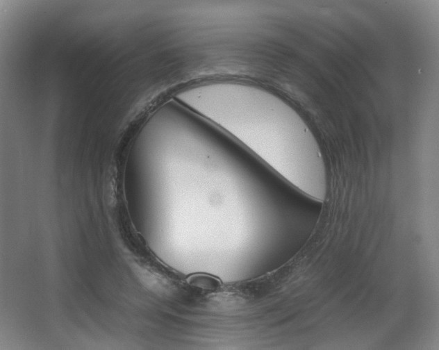 X0000064040544200601270935