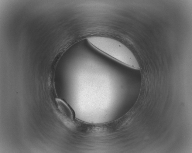 X0000064040546200601270935