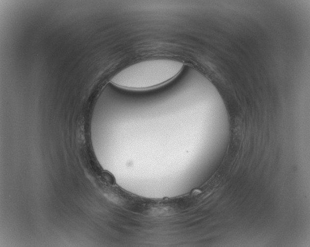 X0000064040547200601270935