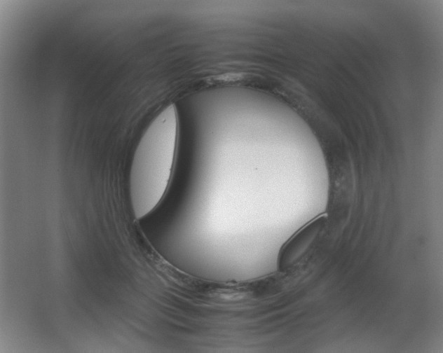X0000064040555200601270935