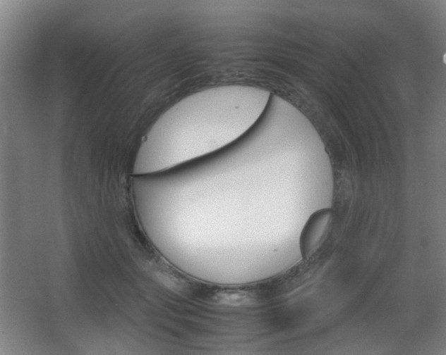 X0000064040557200601270935