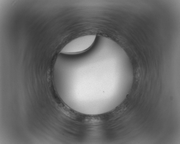X0000064040559200601270935