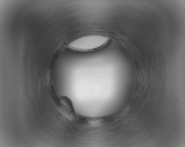 X0000064040560200601270935