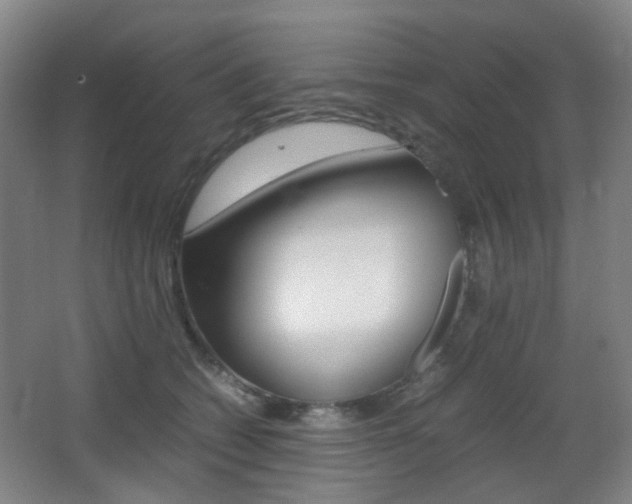 X0000064040562200601270935
