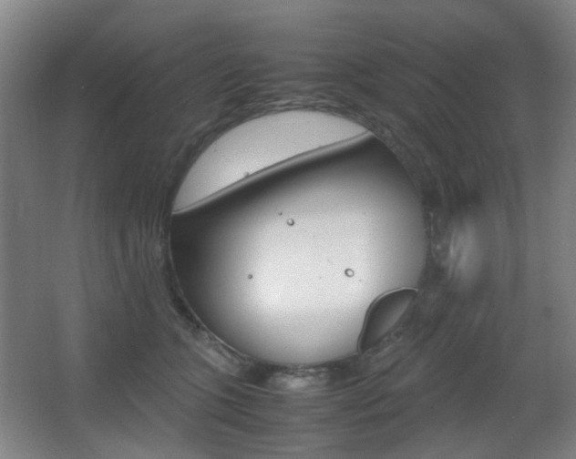X0000064040563200601270935