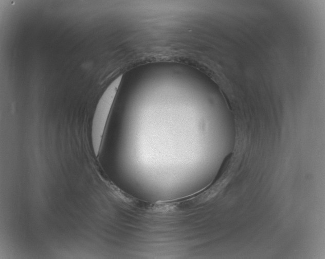 X0000064040576200601270935