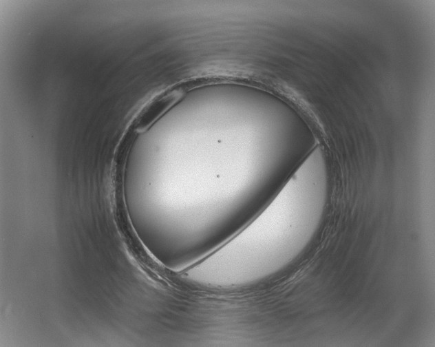 X0000064040580200601270934