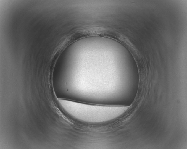 X0000064040585200601270934