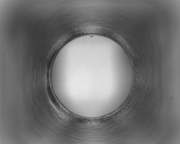 X0000064040586200601270934