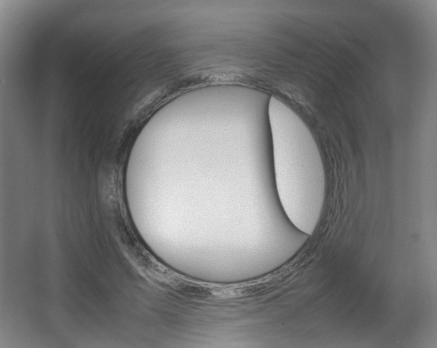 X0000064040591200601270934
