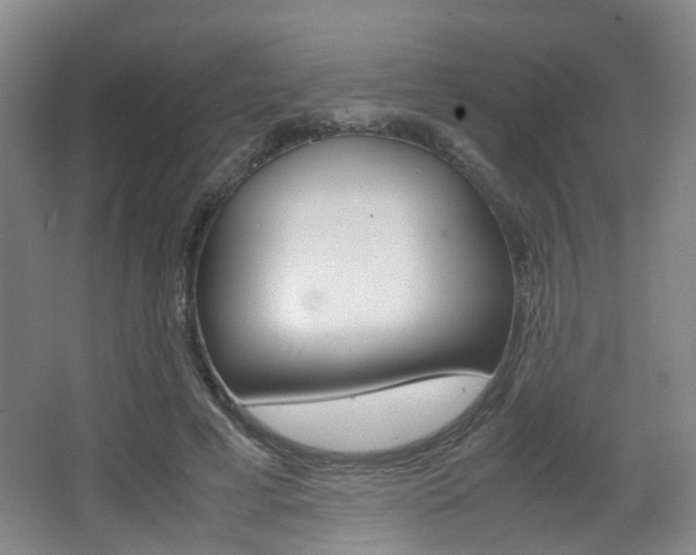 X0000064040593200601270934