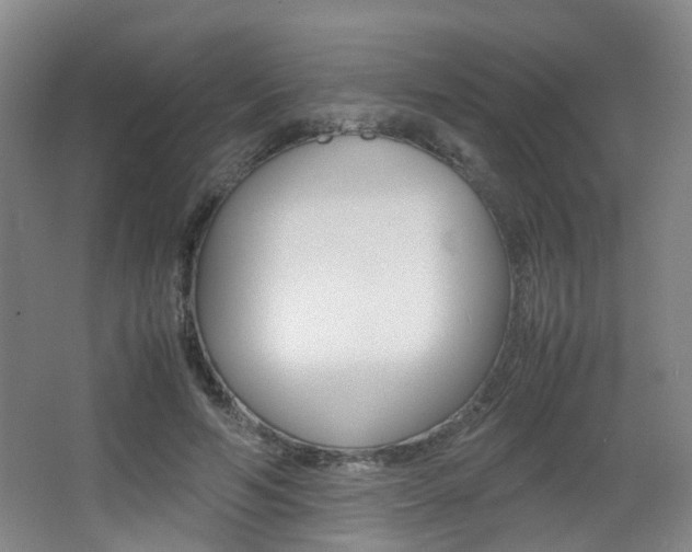 X0000064040594200601270934