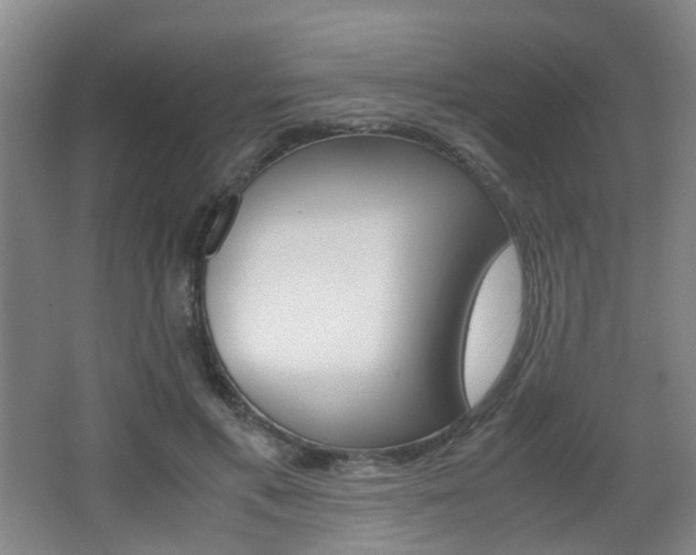 X0000064040597200601270934