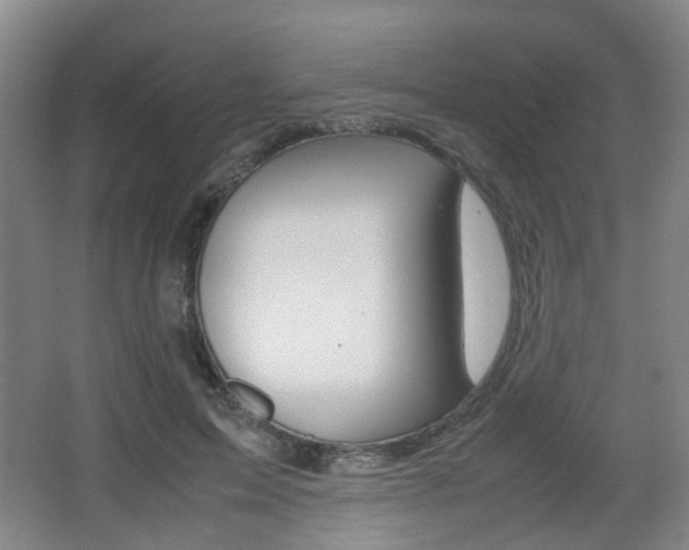 X0000064040599200601270934