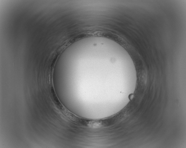 X0000064040602200601270934