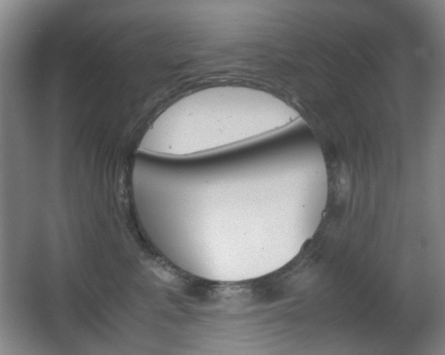 X0000064040619200601270934
