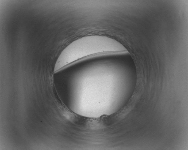 X0000064040624200601270934