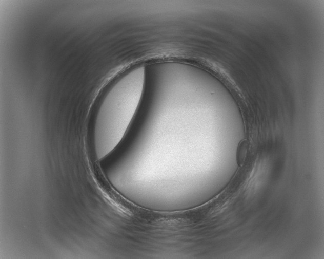 X0000064040629200601270933