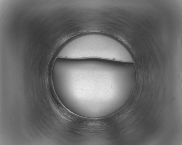 X0000064040631200601270933