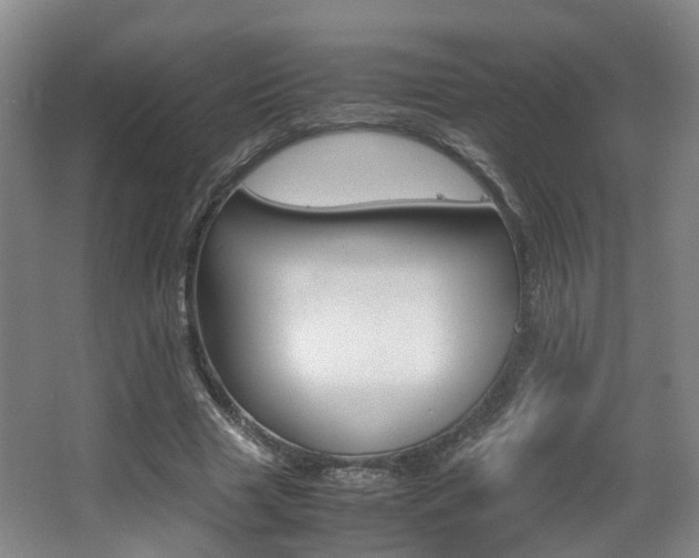 X0000064040633200601270933