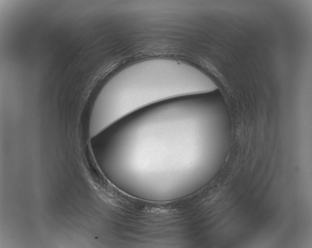 X0000064040635200601270933
