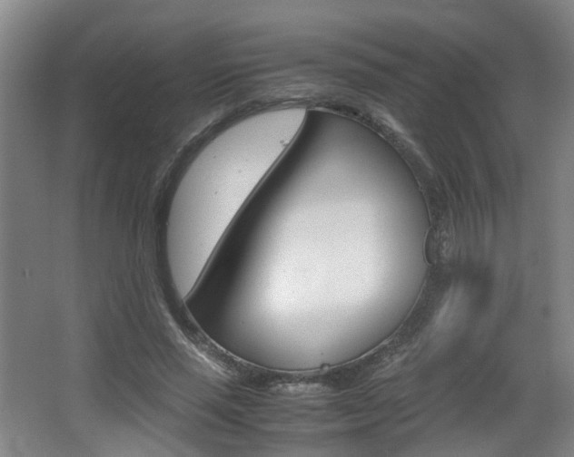 X0000064040637200601270933