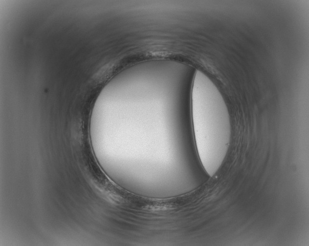 X0000064040639200601270933