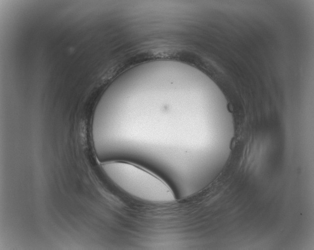 X0000064040646200601270933