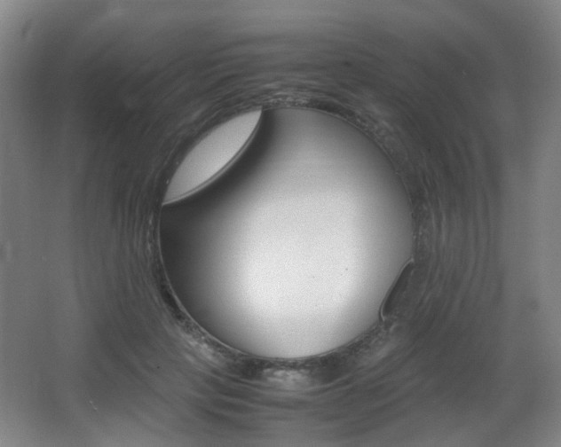 X0000064040649200601270933