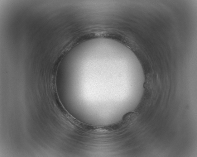 X0000064040650200601270933