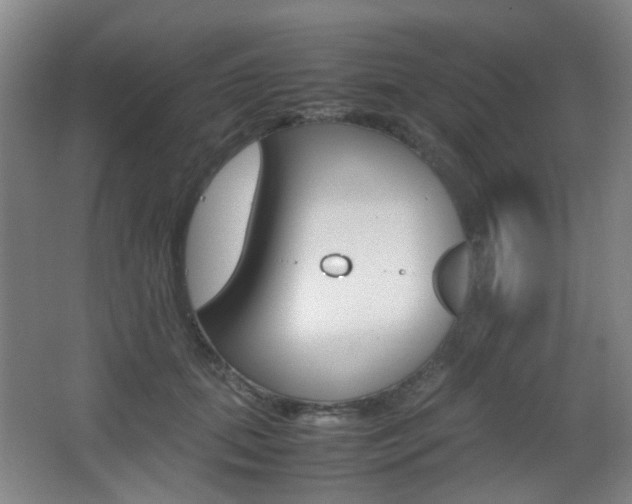 X0000064040655200601270933