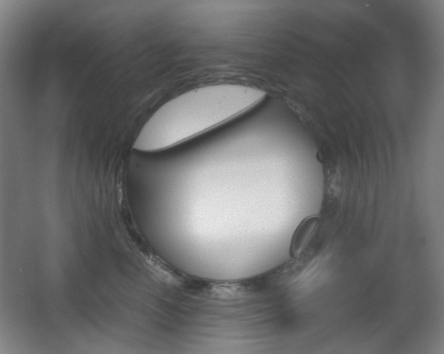 X0000064040666200601270933