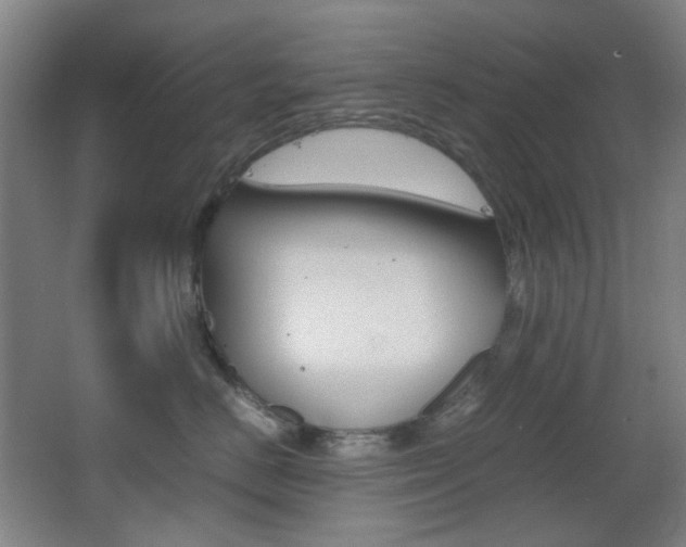 X0000064040670200601270934