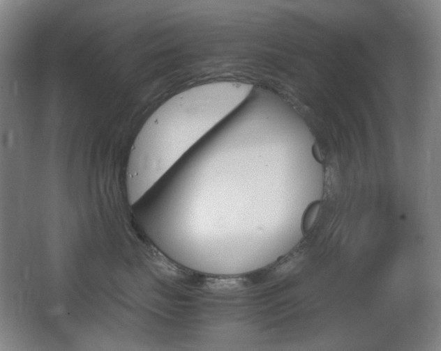 X0000064040671200601270934