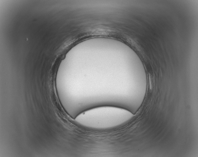 X0000064040675200601270933
