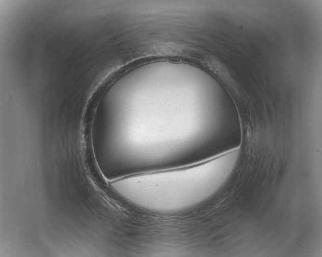 X0000064040676200601270933
