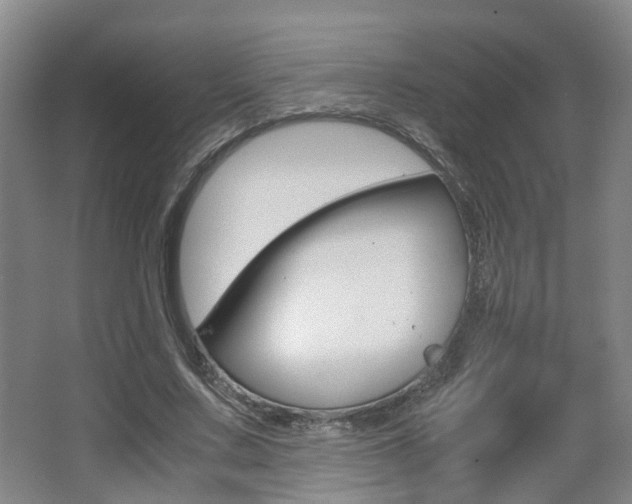 X0000064040683200601270933
