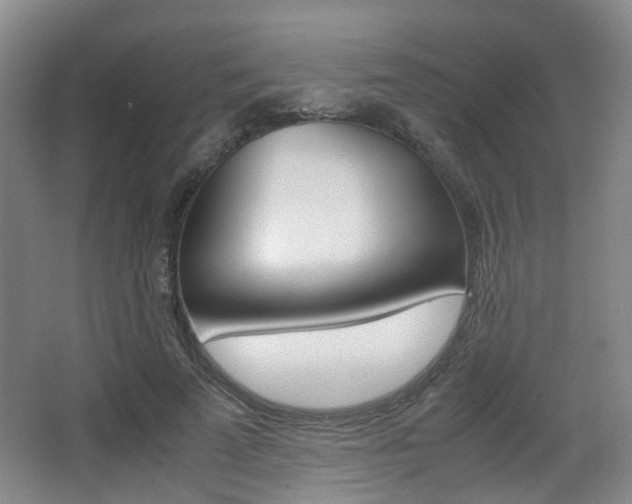 X0000064040689200601270933