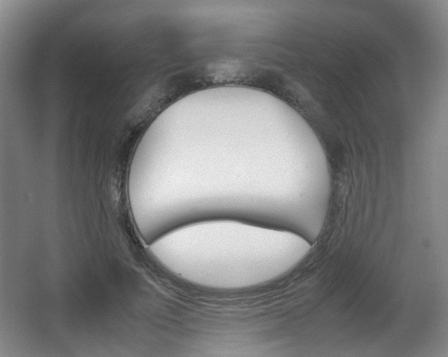 X0000064040691200601270932