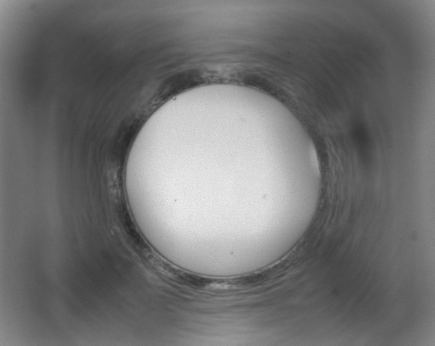 X0000064040699200601270932