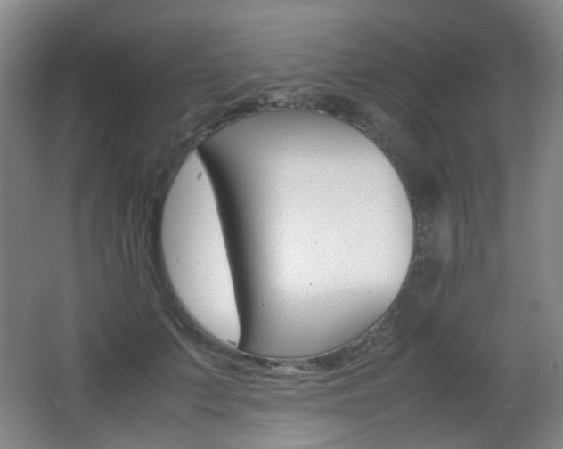 X0000064040703200601270932