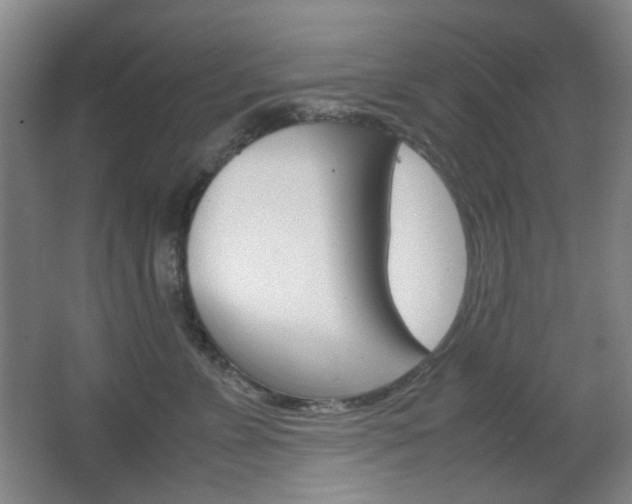X0000064040715200601270932